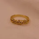 Premium_ring_1.webp